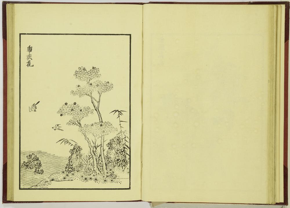 图片[21]-illustrated book; print BM-1915-0823-0.242-China Archive